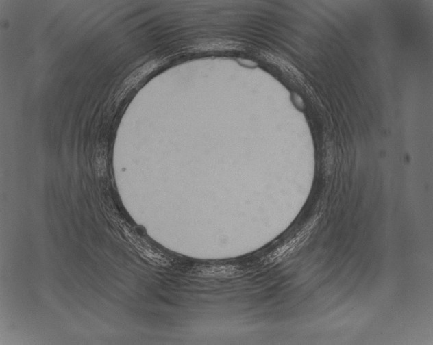 X0000067830833200605111615