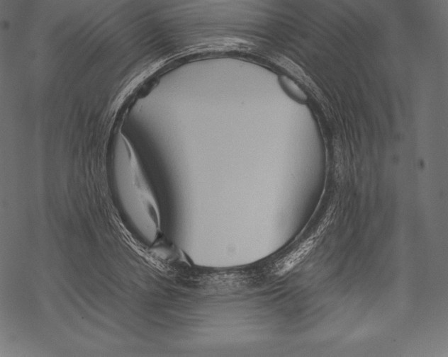 X0000067830834200605111615