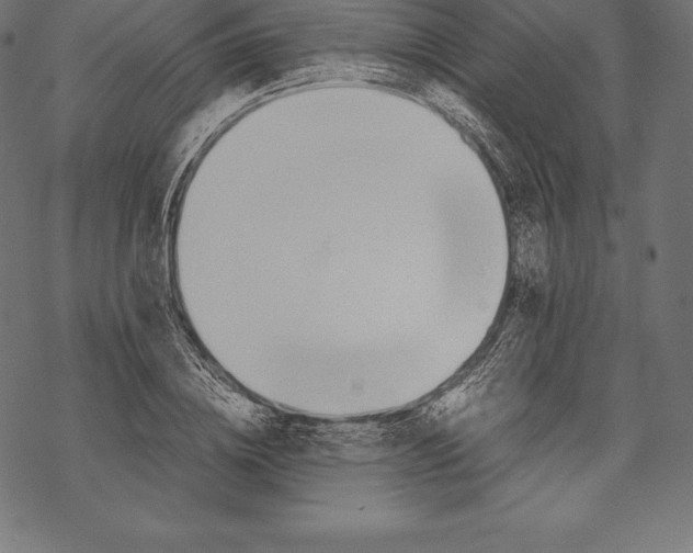 X0000067830836200605111615