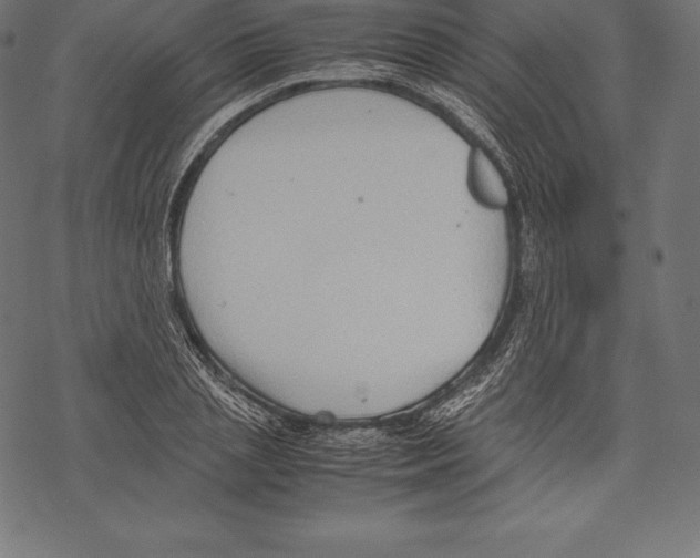 X0000067830837200605111615