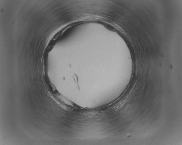 X0000067830838200605111615