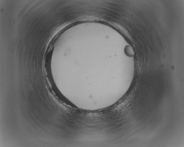 X0000067830839200605111615