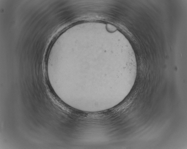 X0000067830840200605111615