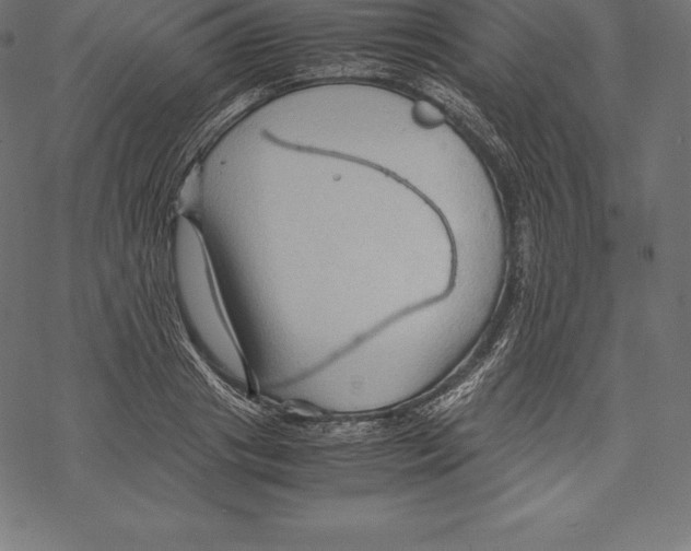 X0000067830841200605111615