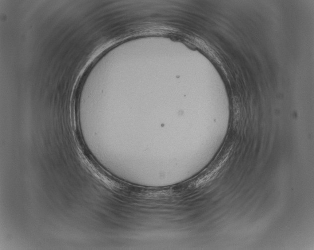 X0000067830843200605111615