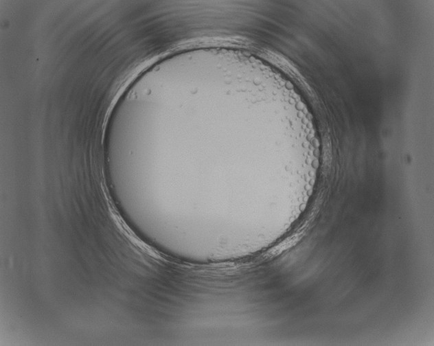 X0000067830844200605111615