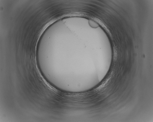 X0000067830845200605111615