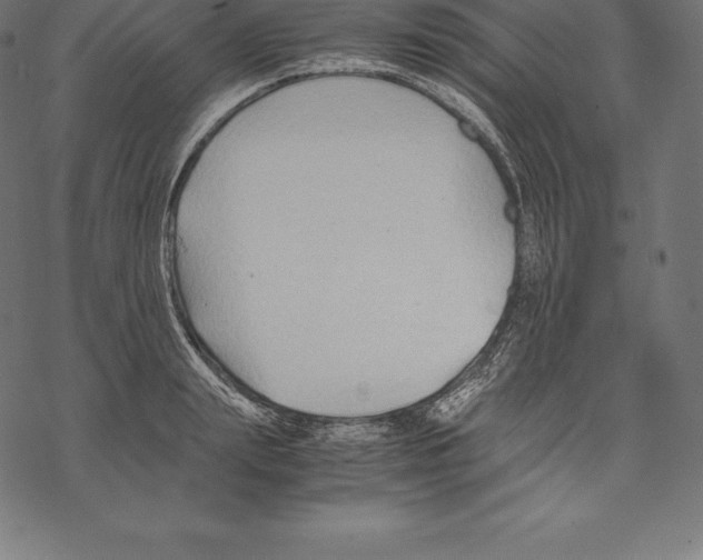 X0000067830847200605111615