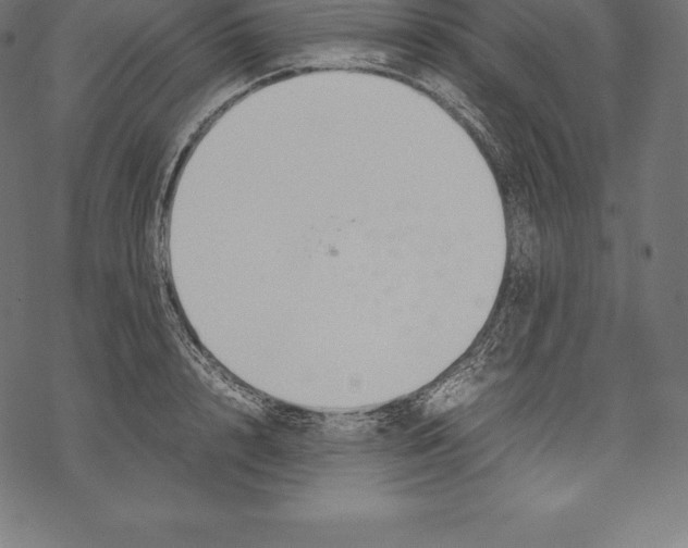 X0000067830848200605111615