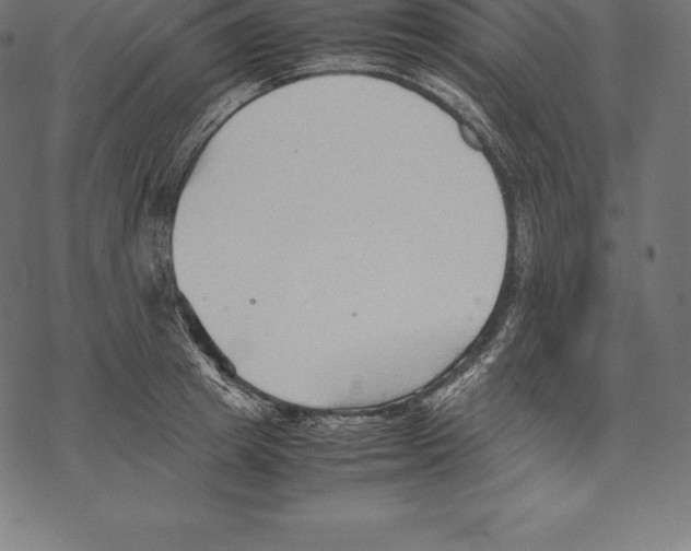 X0000067830849200605111615