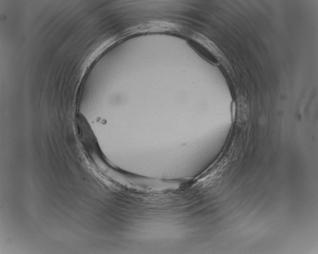 X0000067830850200605111615