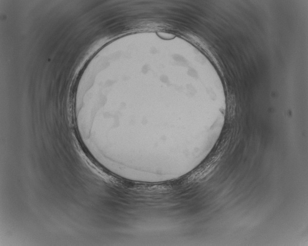 X0000067830851200605111615