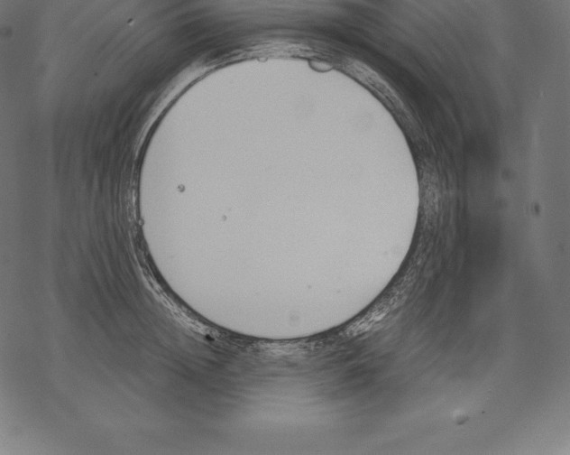 X0000067830852200605111615