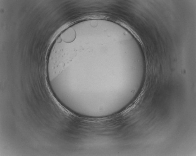 X0000067830853200605111615