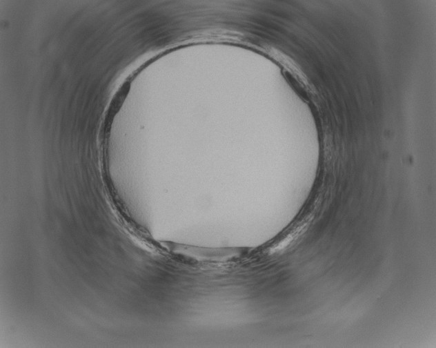 X0000067830854200605111615