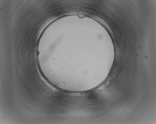 X0000067830855200605111615