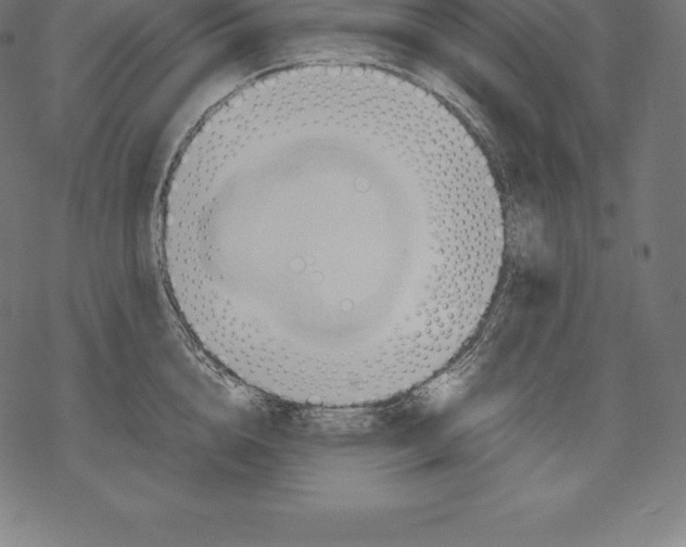 X0000067830856200605111615