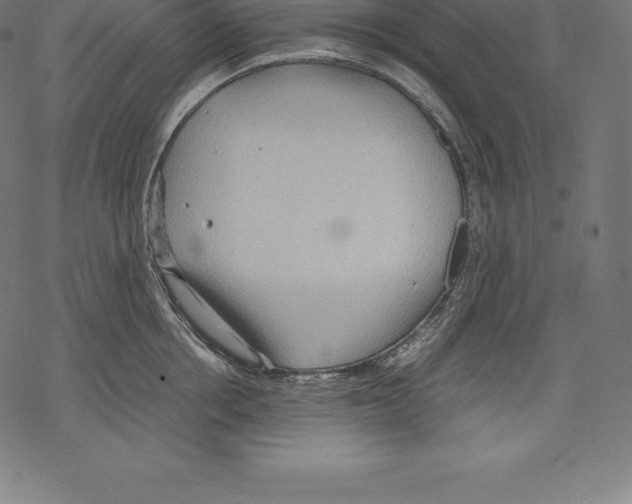 X0000067830858200605111615