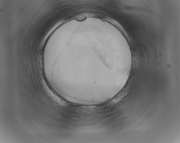 X0000067830859200605111615