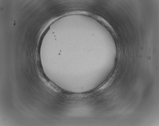 X0000067830860200605111615