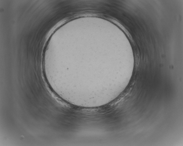 X0000067830861200605111615