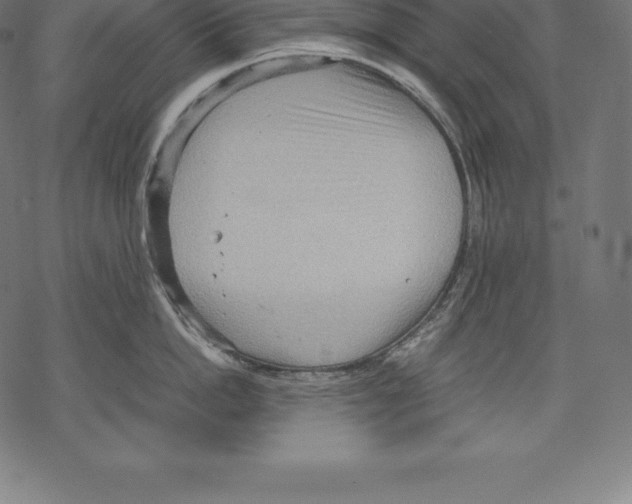 X0000067830862200605111615