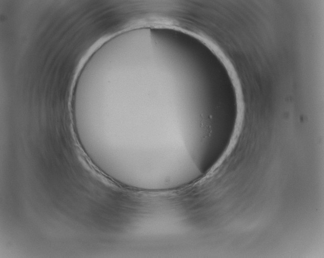 X0000067830864200605111615