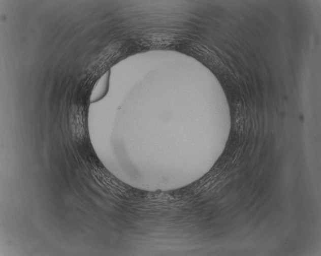 X0000067830866200605111614