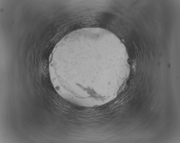 X0000067830867200605111614