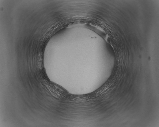 X0000067830868200605111614