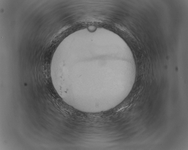 X0000067830870200605111614