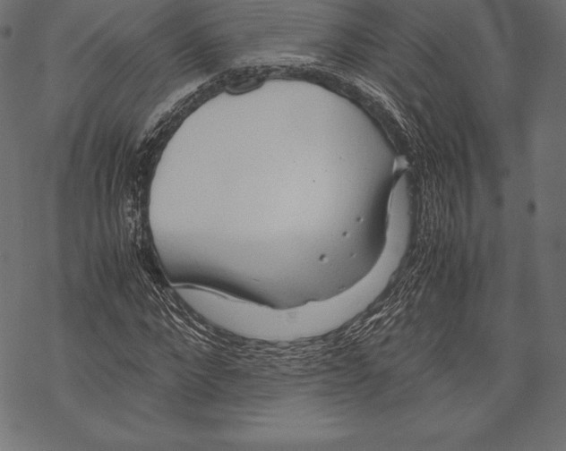 X0000067830872200605111614