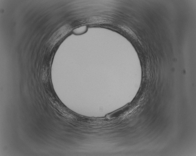 X0000067830873200605111614