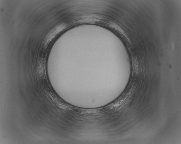 X0000067830874200605111614