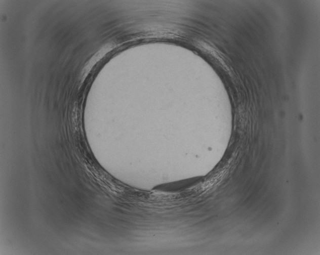 X0000067830875200605111614