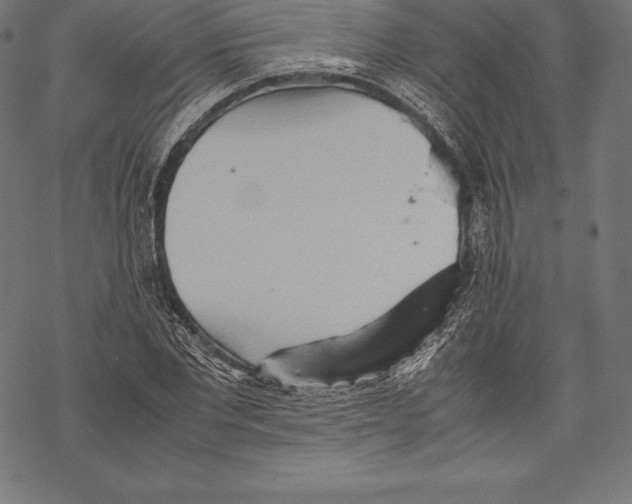 X0000067830877200605111614