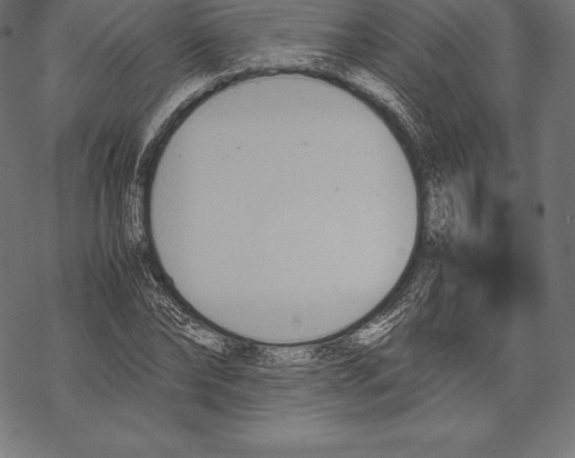 X0000067830878200605111614