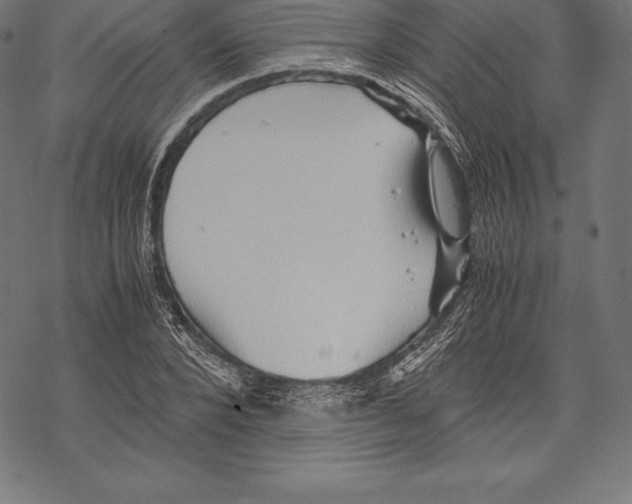 X0000067830880200605111614