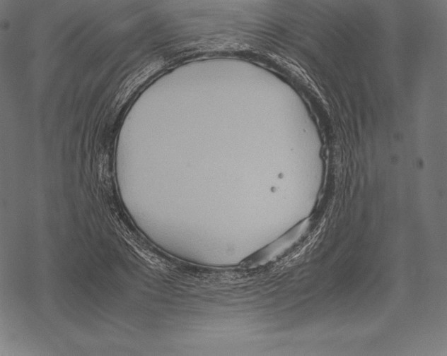 X0000067830881200605111614