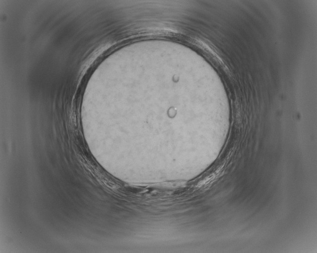 X0000067830883200605111614