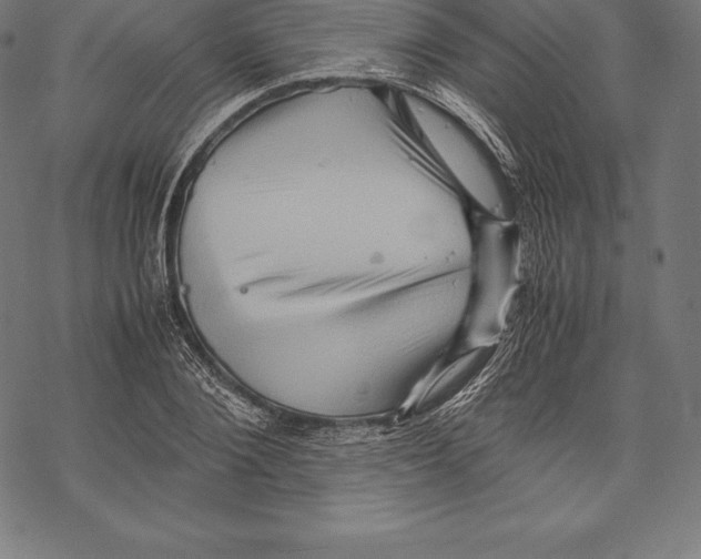 X0000067830884200605111614