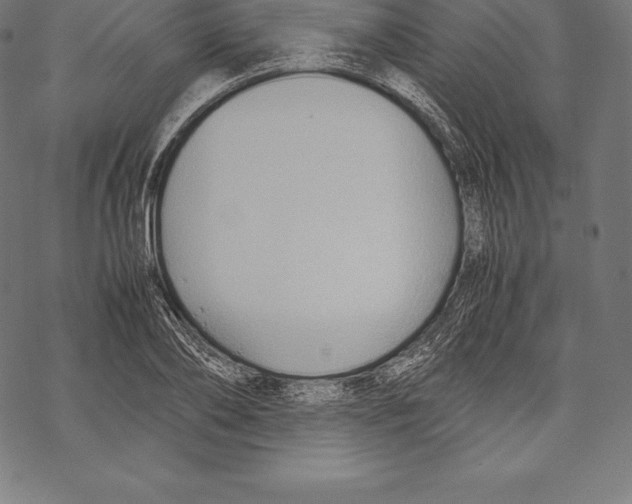 X0000067830886200605111614