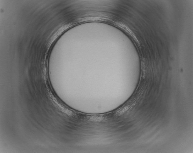 X0000067830890200605111614