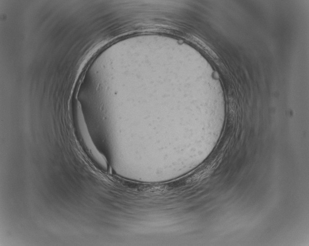 X0000067830891200605111614