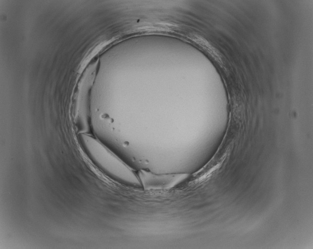 X0000067830893200605111614