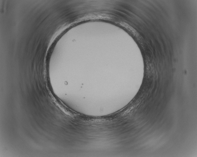 X0000067830894200605111614