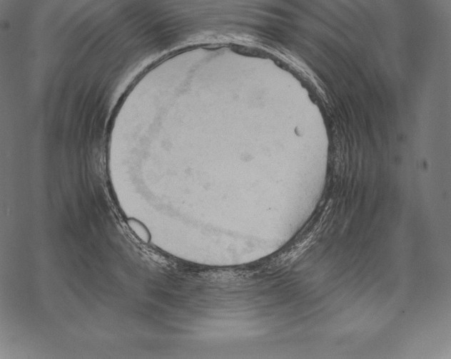 X0000067830896200605111614