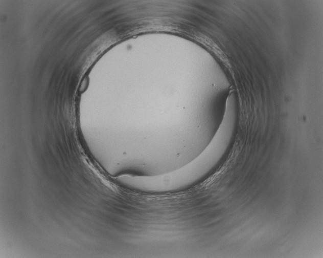 X0000067830898200605111614