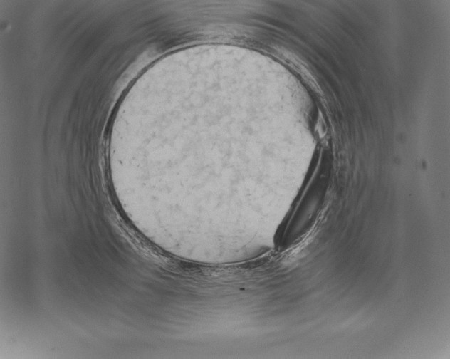 X0000067830899200605111614