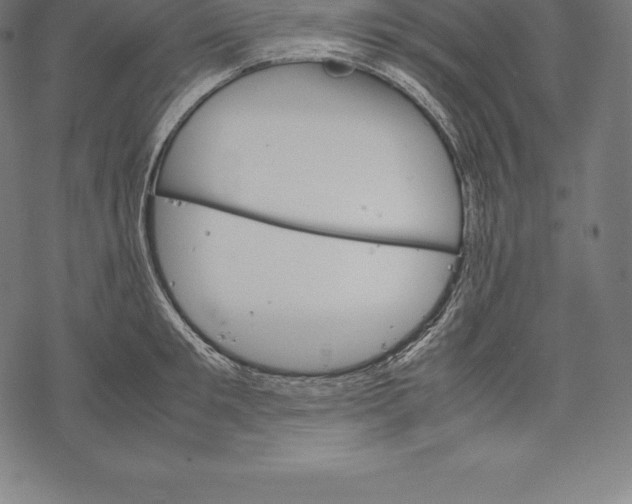 X0000067830901200605111614